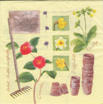 Gardening in march - yellow